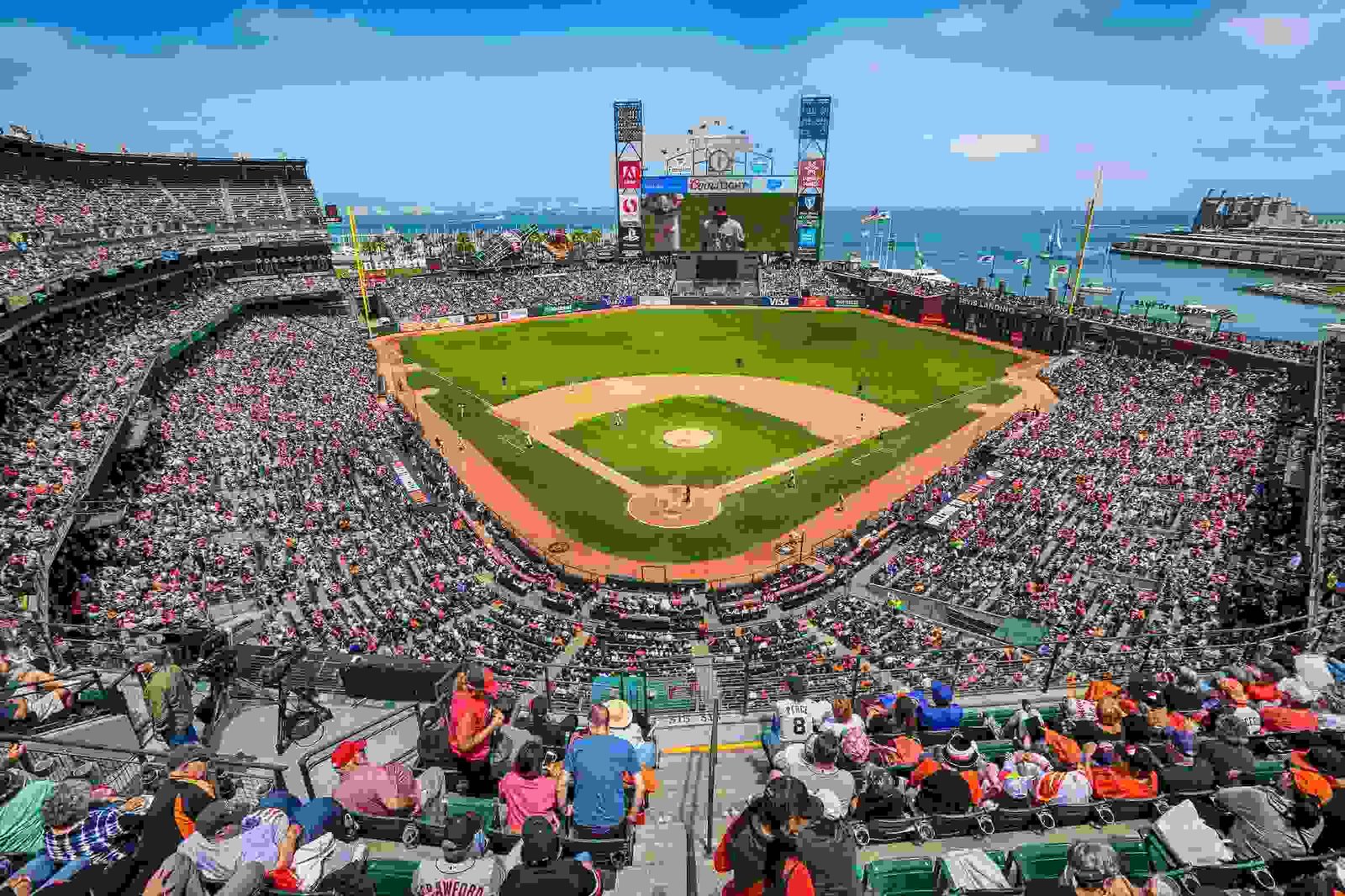 Fan Experience and Atmosphere at Oracle Park